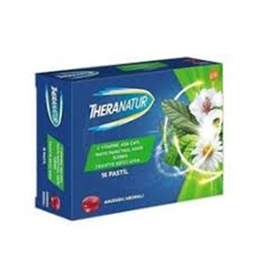 THERANATUR AHUDUDU AROMALI PASTİL 16 LI