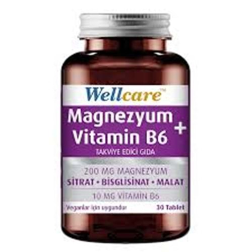 WELLCARE MAGNEZYUM VİTAMİN B6 30 TABLET