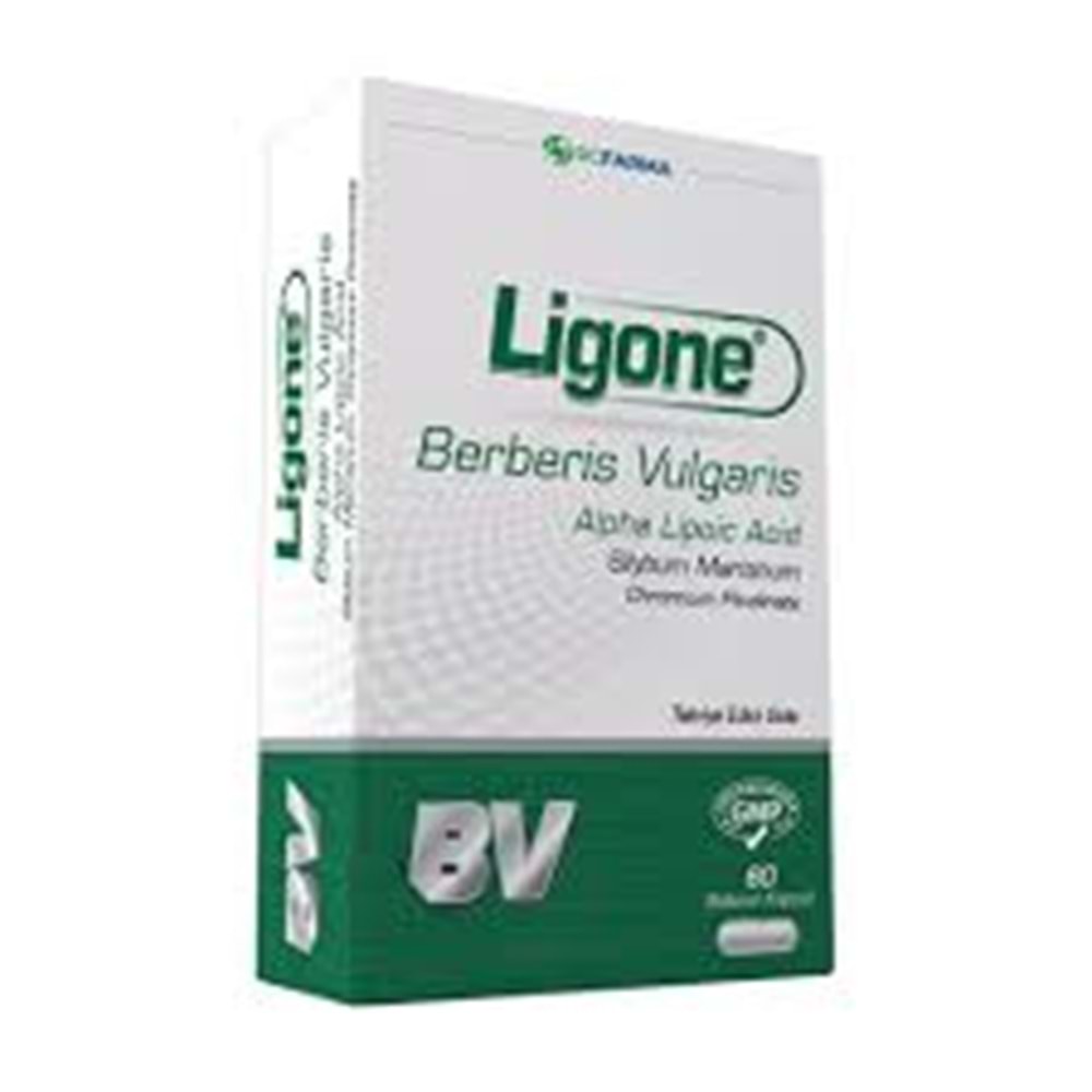LİGONE BERBERİS COMPLEX VULGARİZ BV ( ALPHA LİPOİC ACİD )60 BİTKİSEL KAPSÜL