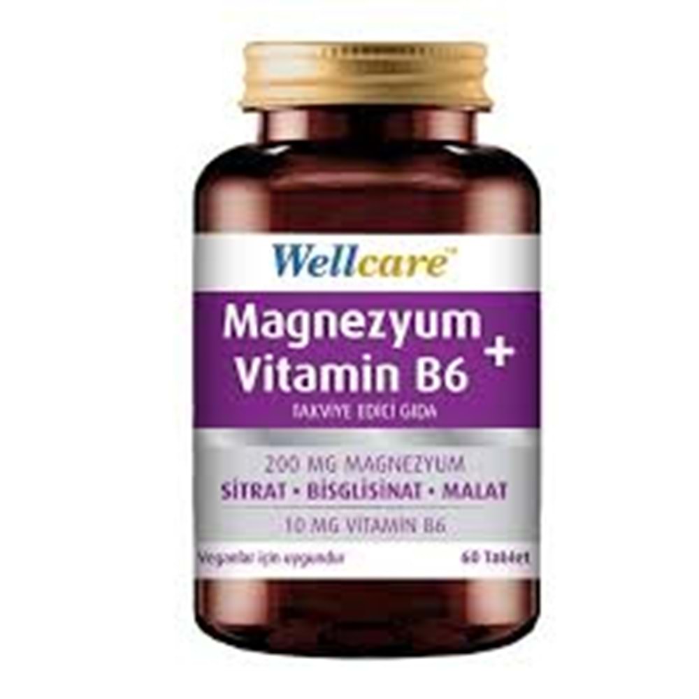WELLCARE MAGNEZYUM VİTAMİN B6 60 TABLET